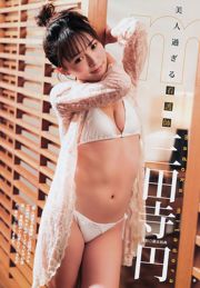 武田玲奈 三田寺円 [Weekly Young Jump] 2018年No.08 写真杂志